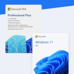 Изображение Windows 11 Pro + Office 365 Professional Plus