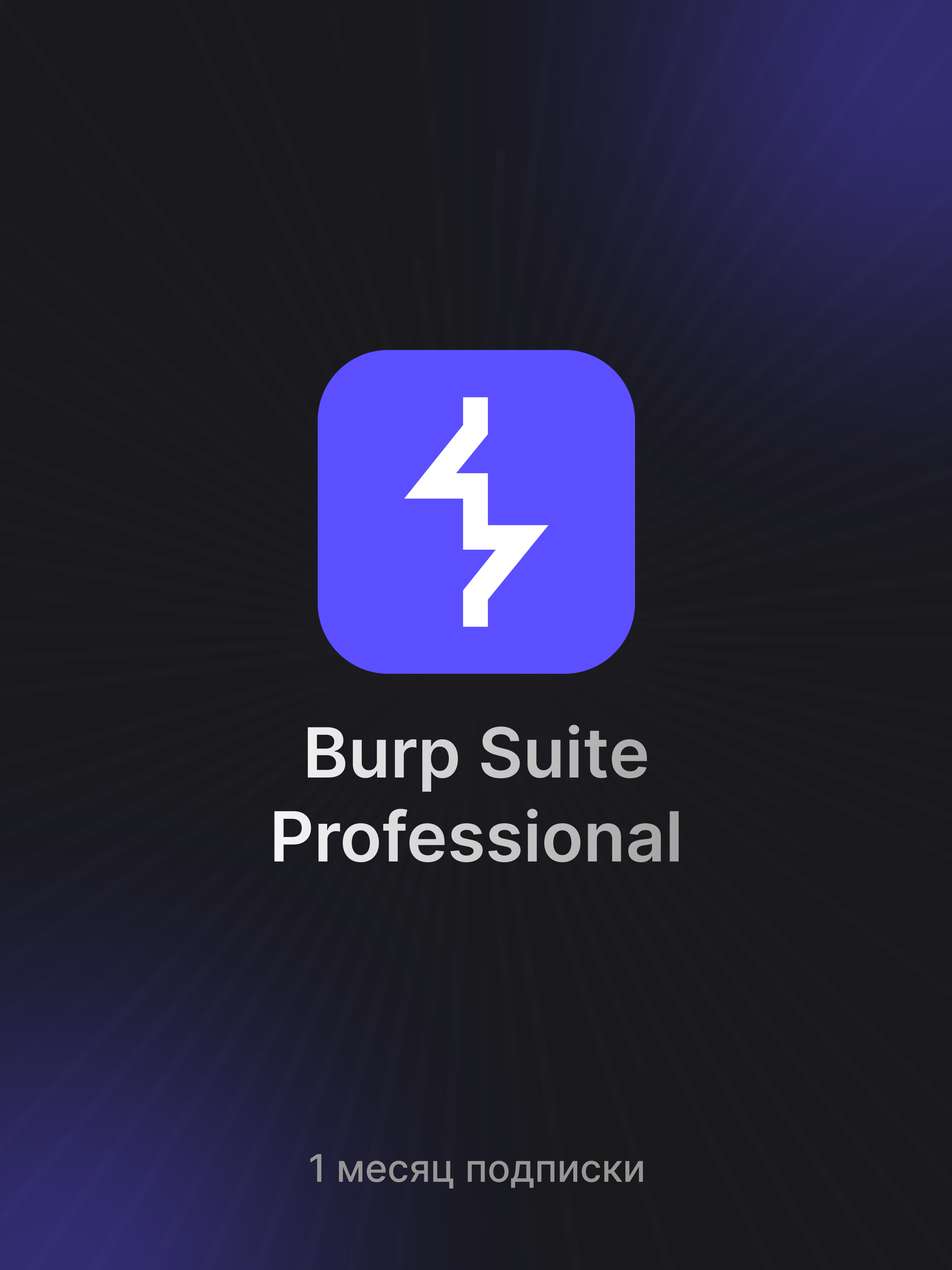 Burp Suite Professional