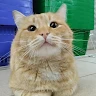 Илья